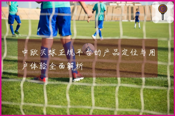 中欧买球正规平台的产品定位与用户体验全面解析