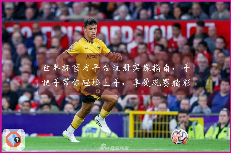 世界杯官方平台注册实操指南，手把手带你轻松上手，享受观赛精彩