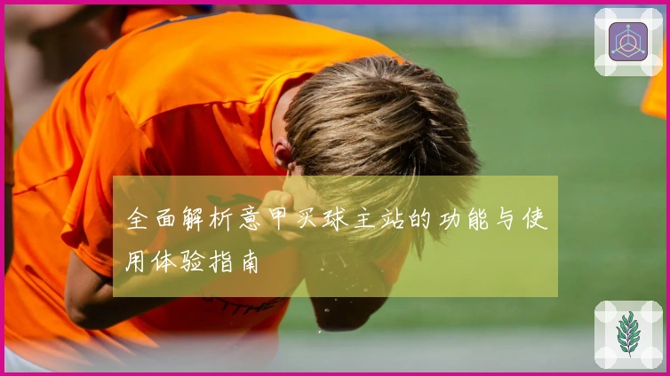 全面解析意甲买球主站的功能与使用体验指南