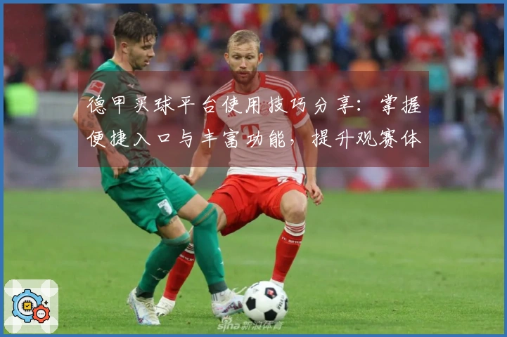 德甲买球平台使用技巧分享：掌握便捷入口与丰富功能，提升观赛体验